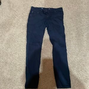 Mens AG navy pants